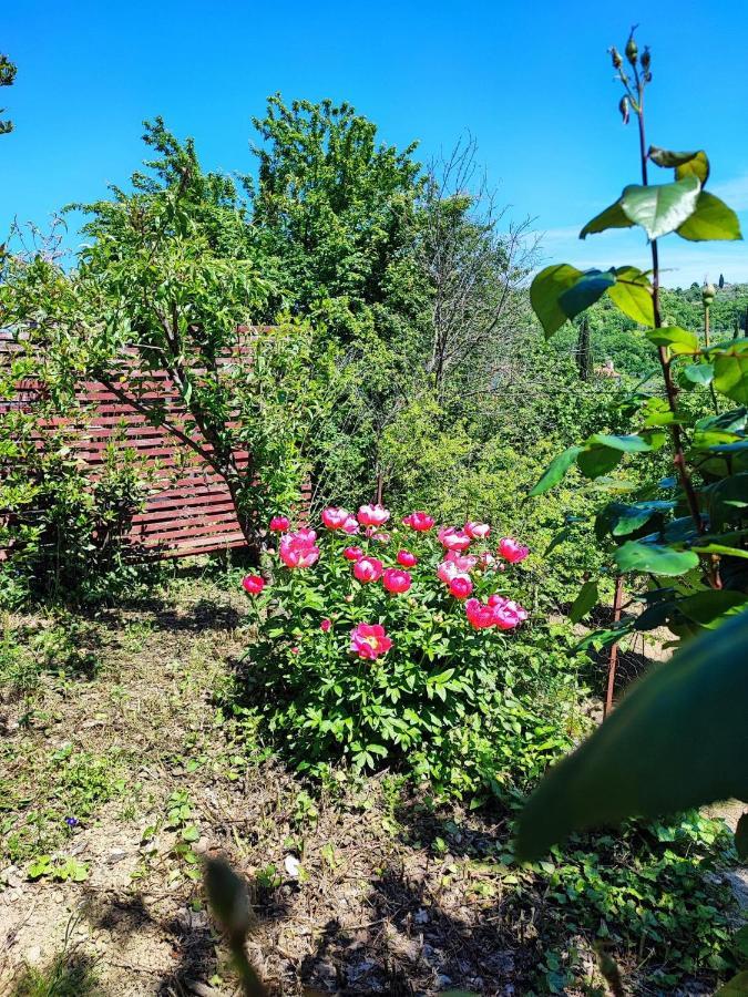 Salara Farmhouse Копер Экстерьер фото